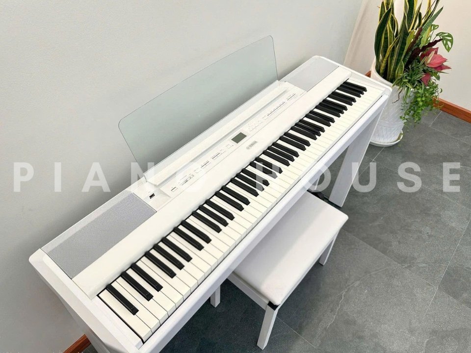 YAMAHA P-515 WH (USED) - Ảnh thực tế 3